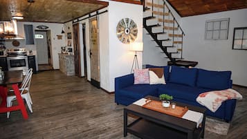 Smart TV, fireplace, books, music library