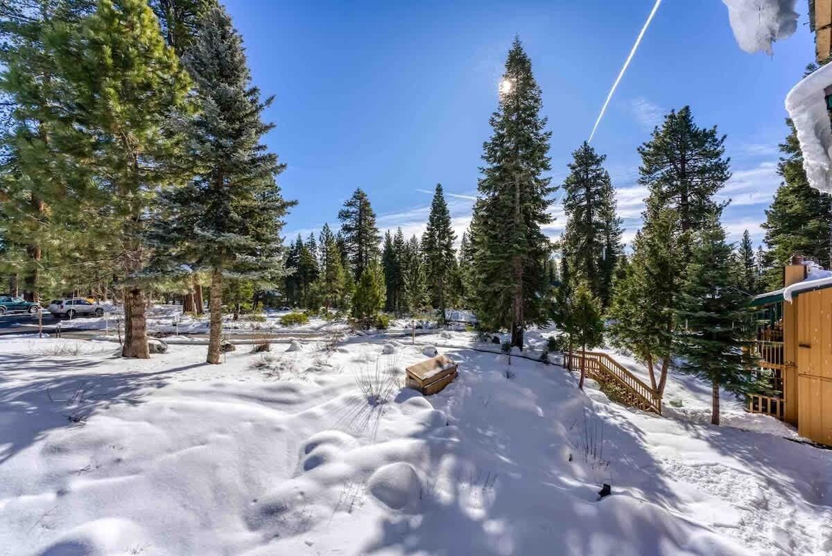 A snowy landscape with tall evergreen trees, a wooden cabin, and a clear sky.