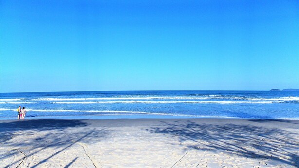 Une plage avec un ciel dégagé et des vagues calmes.