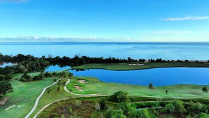 A golf course with a large pond, surrounded by greenery and palm trees.