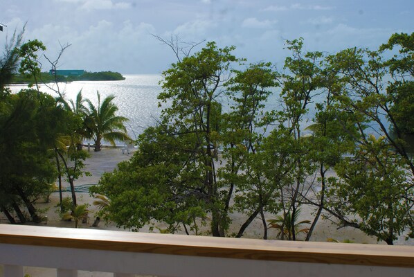 Property grounds - Birdhouses Pelican is a very unique place in the sunset side of the island. (Caye Caulker)