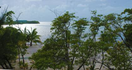 Birdhouses Pelican is a very unique place in the sunset side of the island.