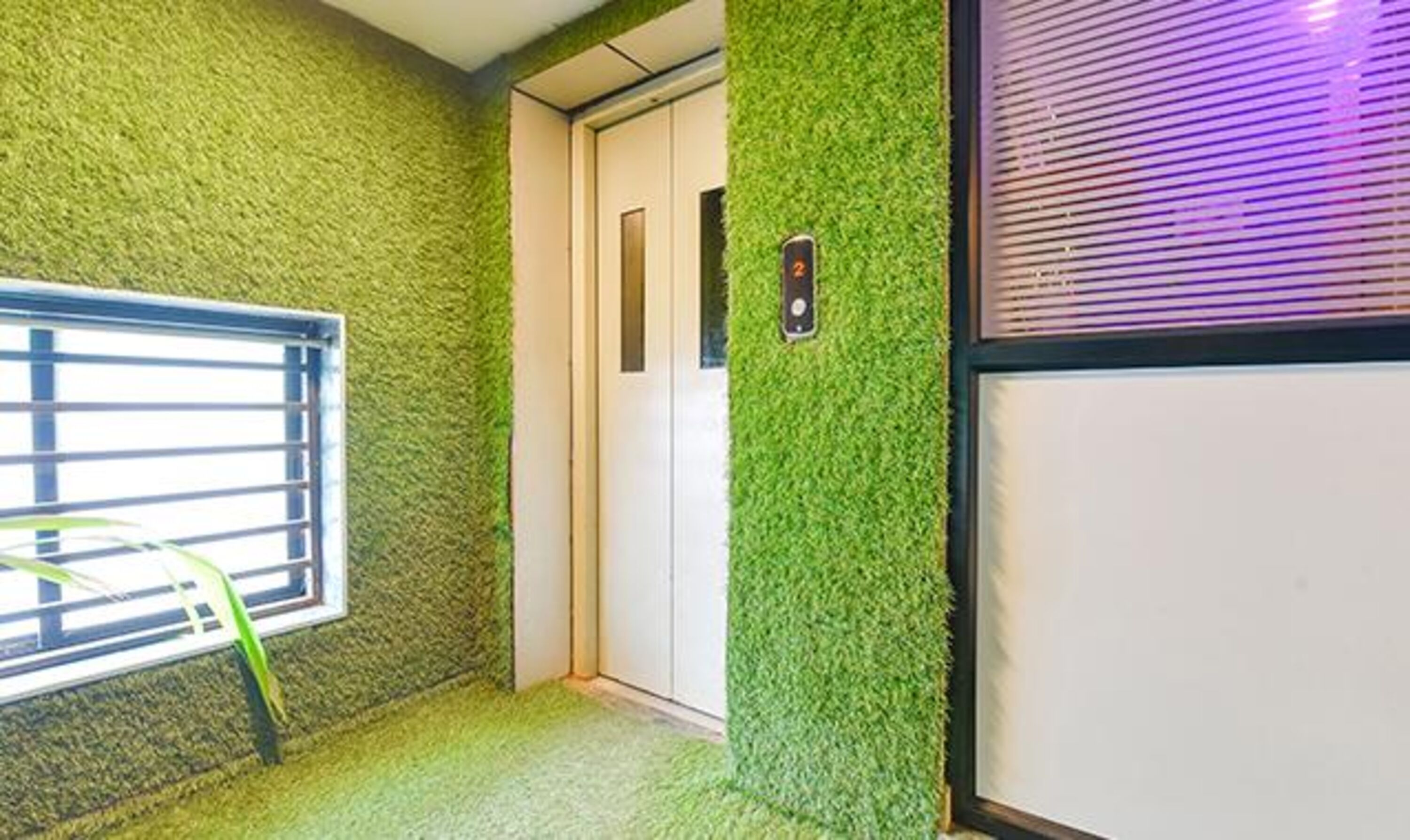 Un couloir aux murs recouverts de gazon synthétique vert, avec une porte et une fenêtre équipée de stores.