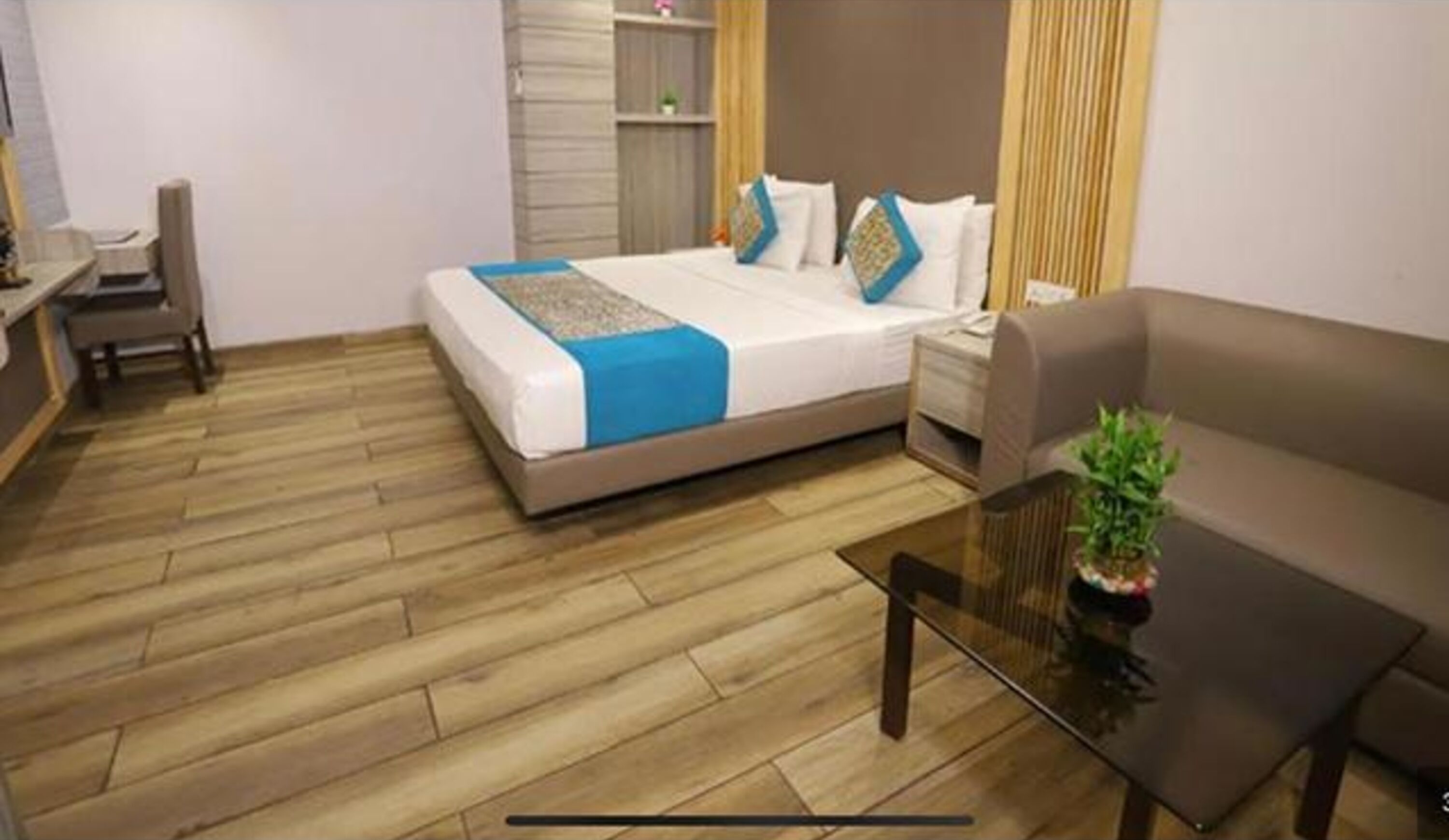 A hotel room with a bed, a sofa, a small table, and a plant.