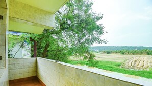 Ảnh chưa phân loại, 3 trong số 24 ảnh, nút