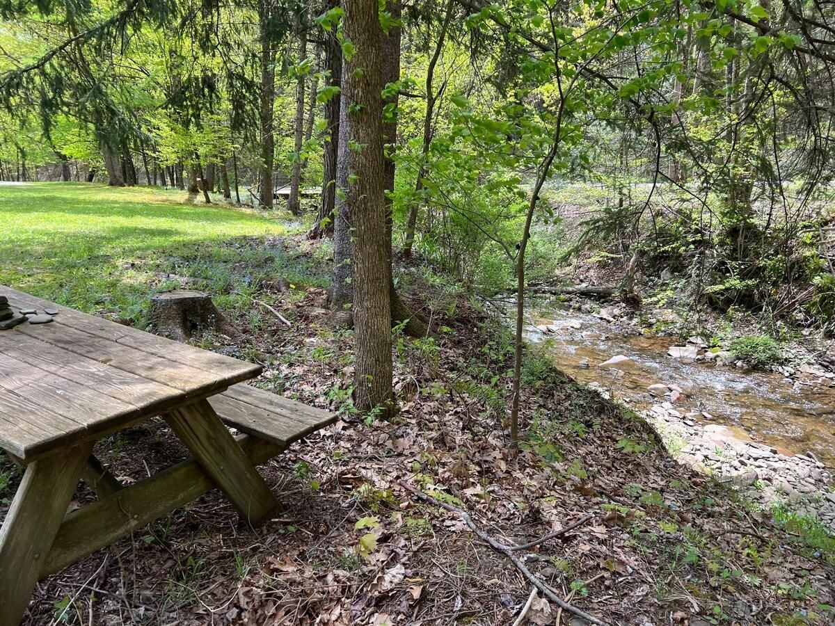 A picnic table in a forested area with a stream nearby.