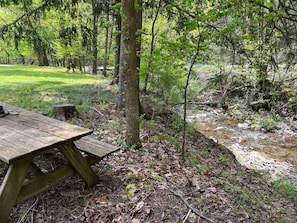 A picnic table in a forested area with a stream nearby. - Catskills Brookside Cottage (Margaretville)
