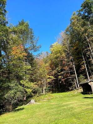 A grassy area with trees and a wooden structure.