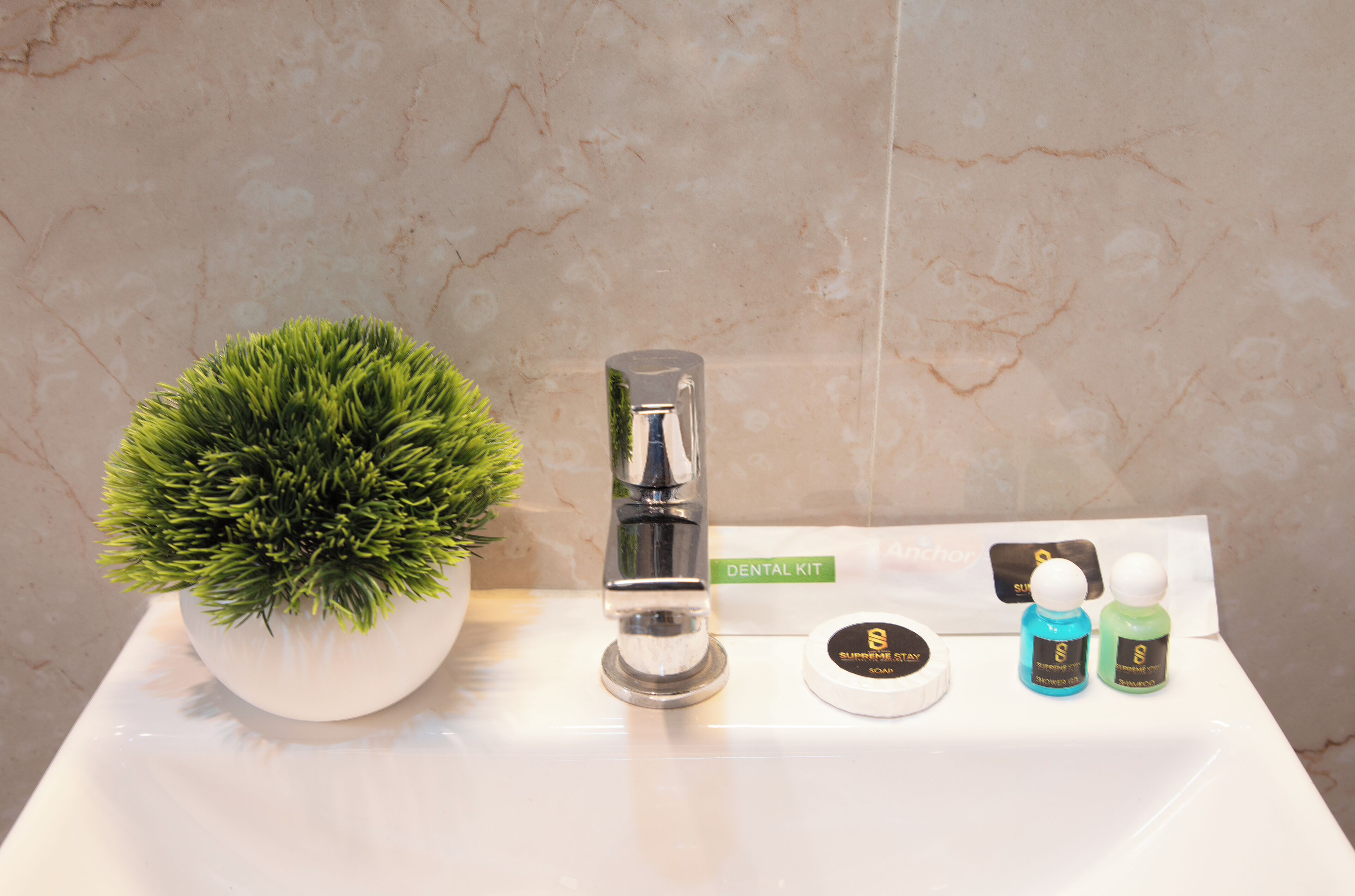 Un lavabo de salle de bain avec une plante en pot, une trousse de toilette et deux bouteilles de savon.