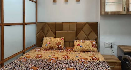 Lavish Studio Apt in West/Central Delhi