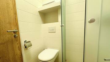 A small, modern bathroom with a toilet, a glass shower enclosure, and a wooden door.