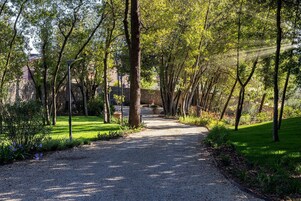 Un sentiero sterrato circondato da alberi e vegetazione, che conduce a un edificio con un muro in pietra.
