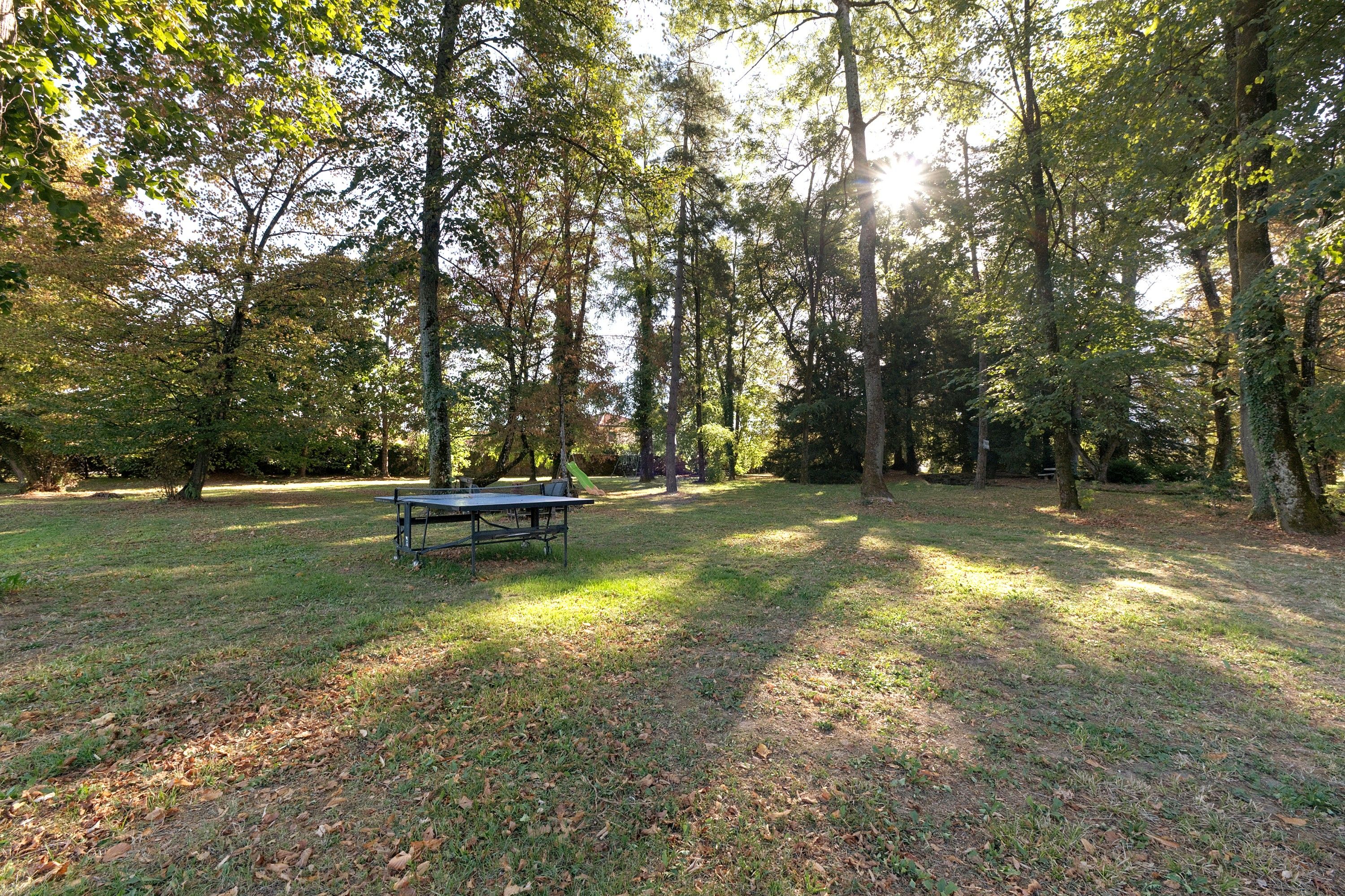 A picnic table in a forested area with sunlight filtering through the trees.