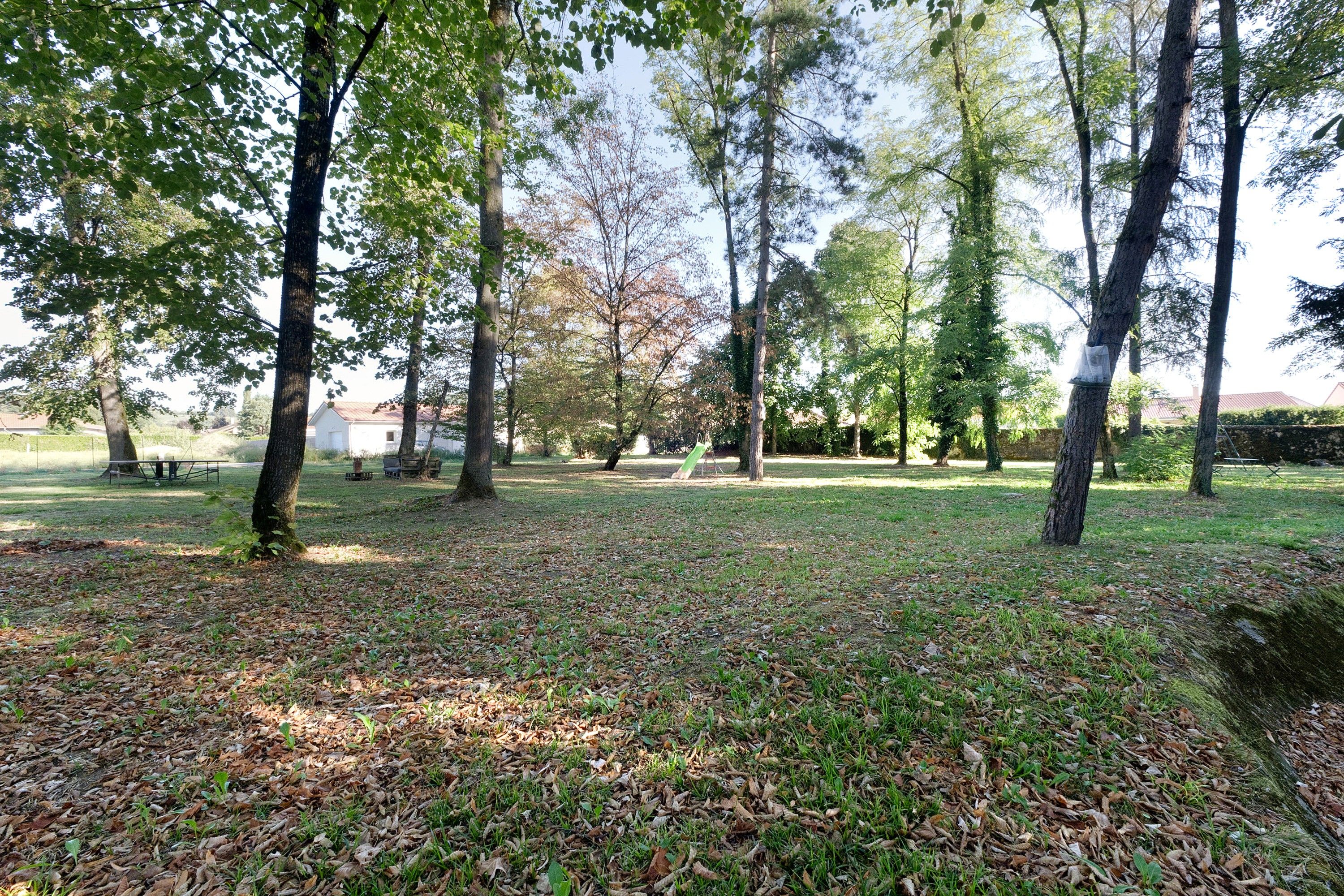 Een park met bomen, gras en een picknickplaats.