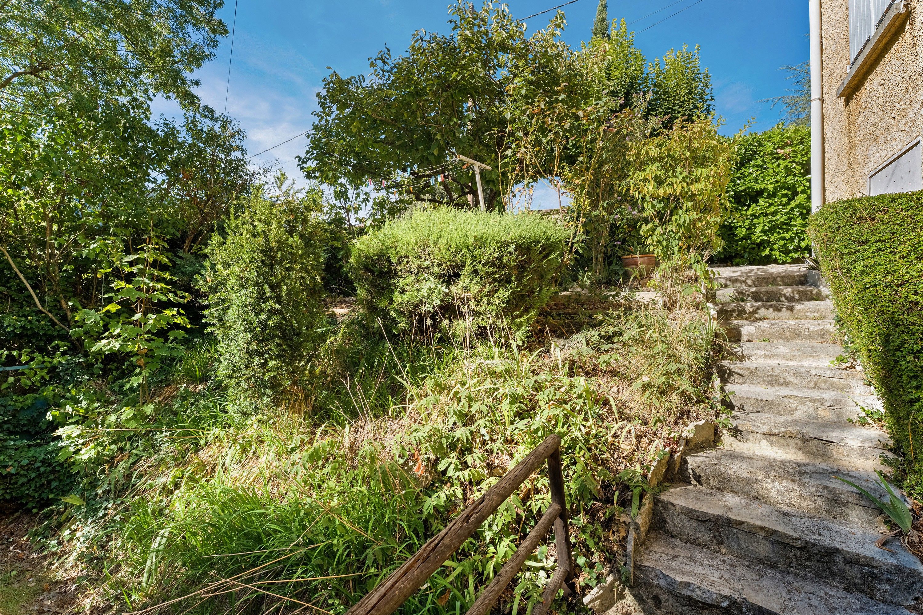 A stone staircase leading up to a building, surrounded by dense greenery and trees.