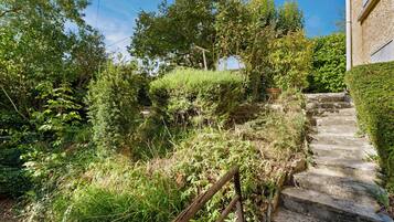 A stone staircase leading up to a building, surrounded by dense greenery and trees.