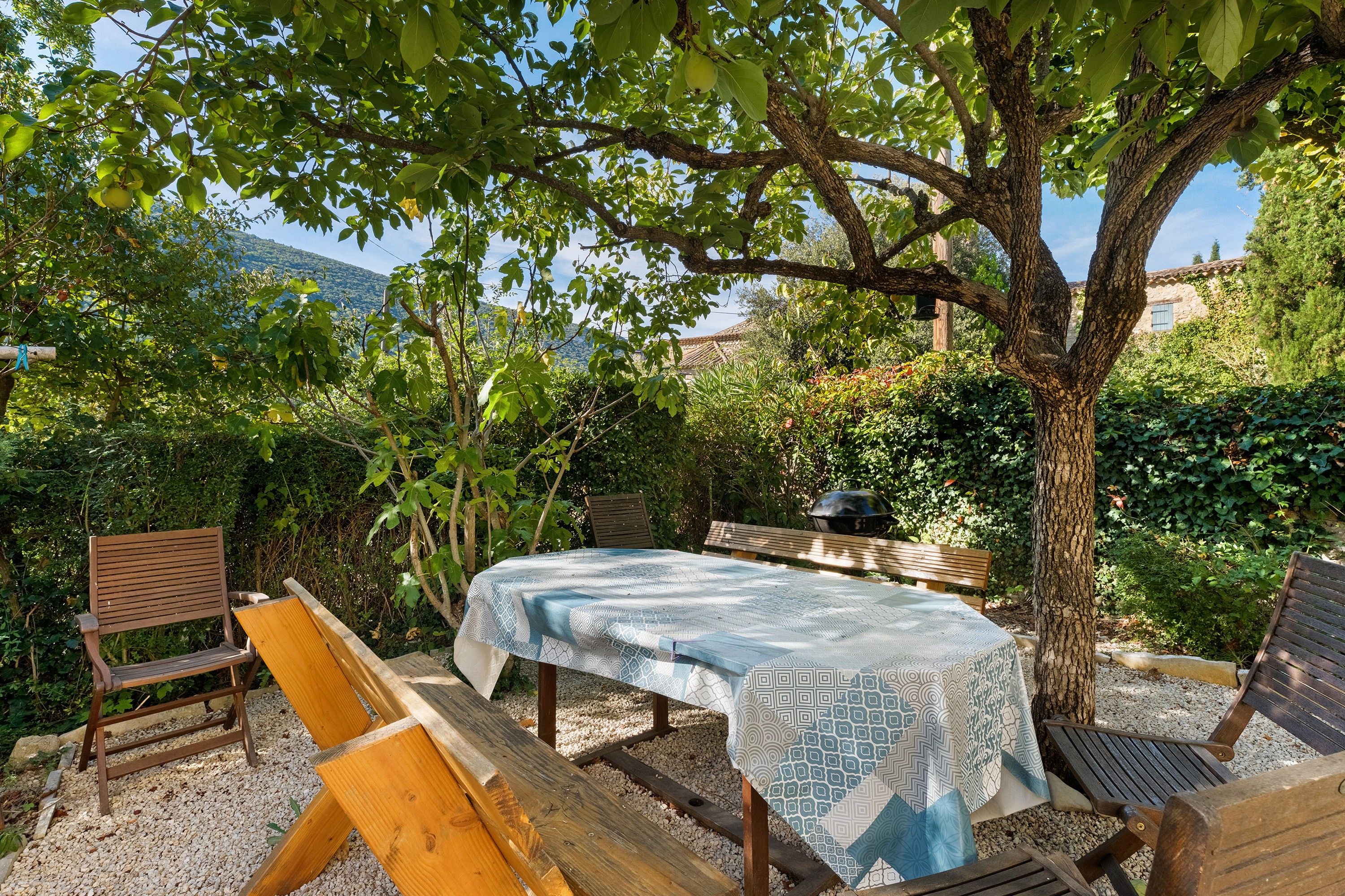 Un área de estar al aire libre con una mesa y bancos bajo un árbol, rodeada de follaje y vistas a una montaña.