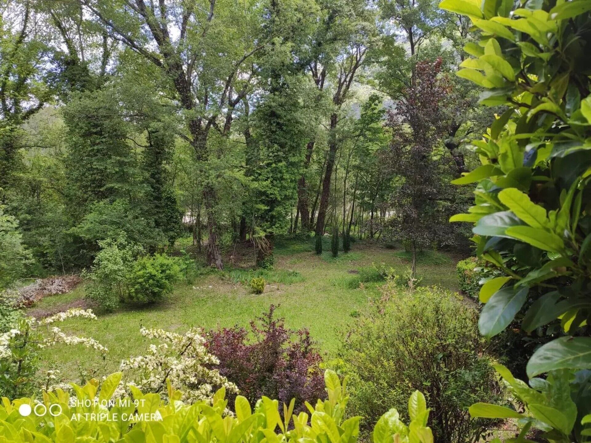 Àrea exterior de l'allotjament