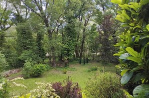 Property grounds - Ecological House La Clairière 4 Bedrooms (Pierrelongue)