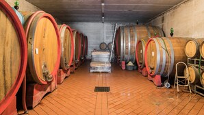 Interior - Farmhouse "Appartamento Moraiolo" with Shared Pool & Wi-Fi (montepulciano)