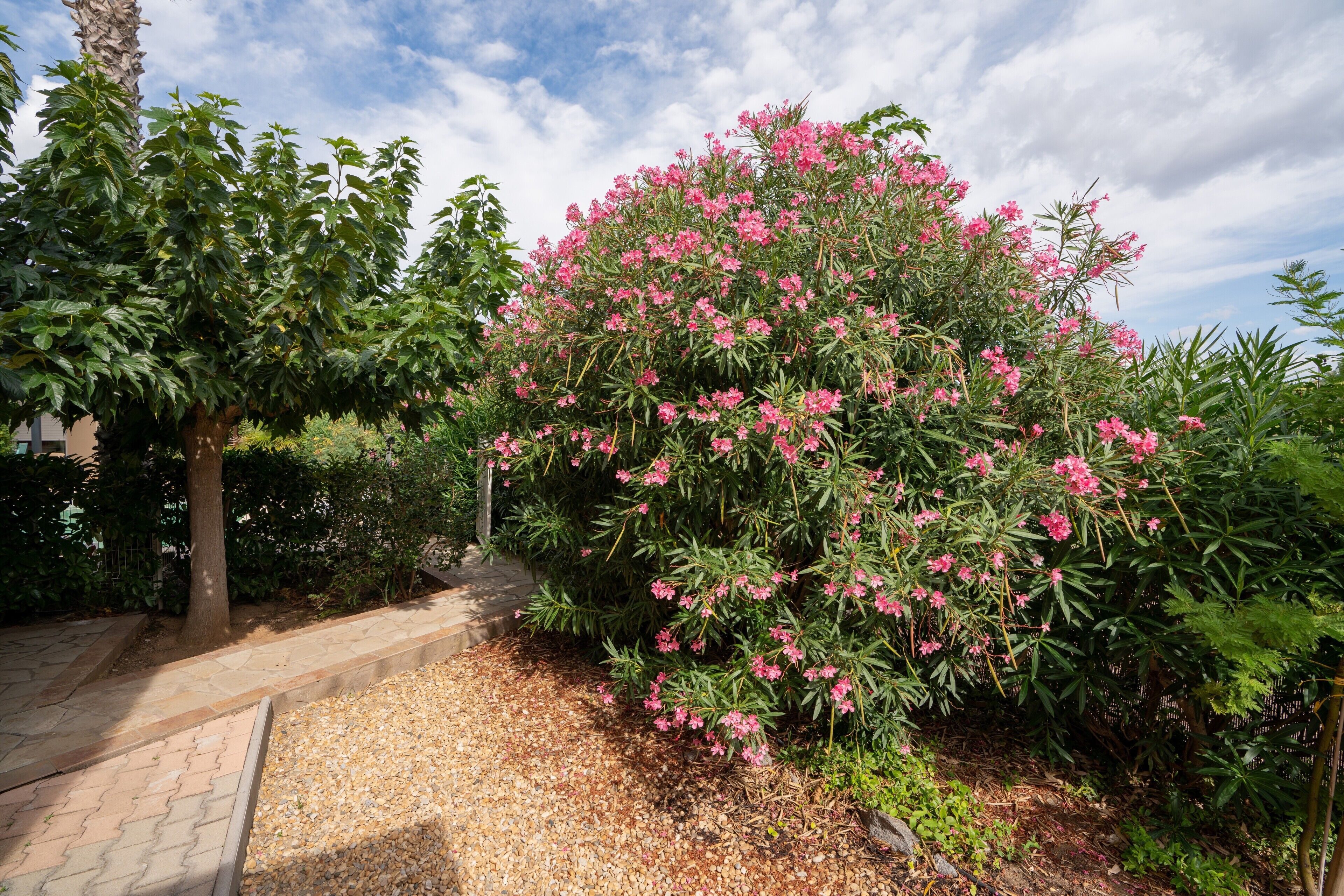 Áreas de la propiedad