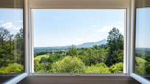 Una ventana con vistas despejadas a un paisaje verde, árboles y una montaña en la distancia.