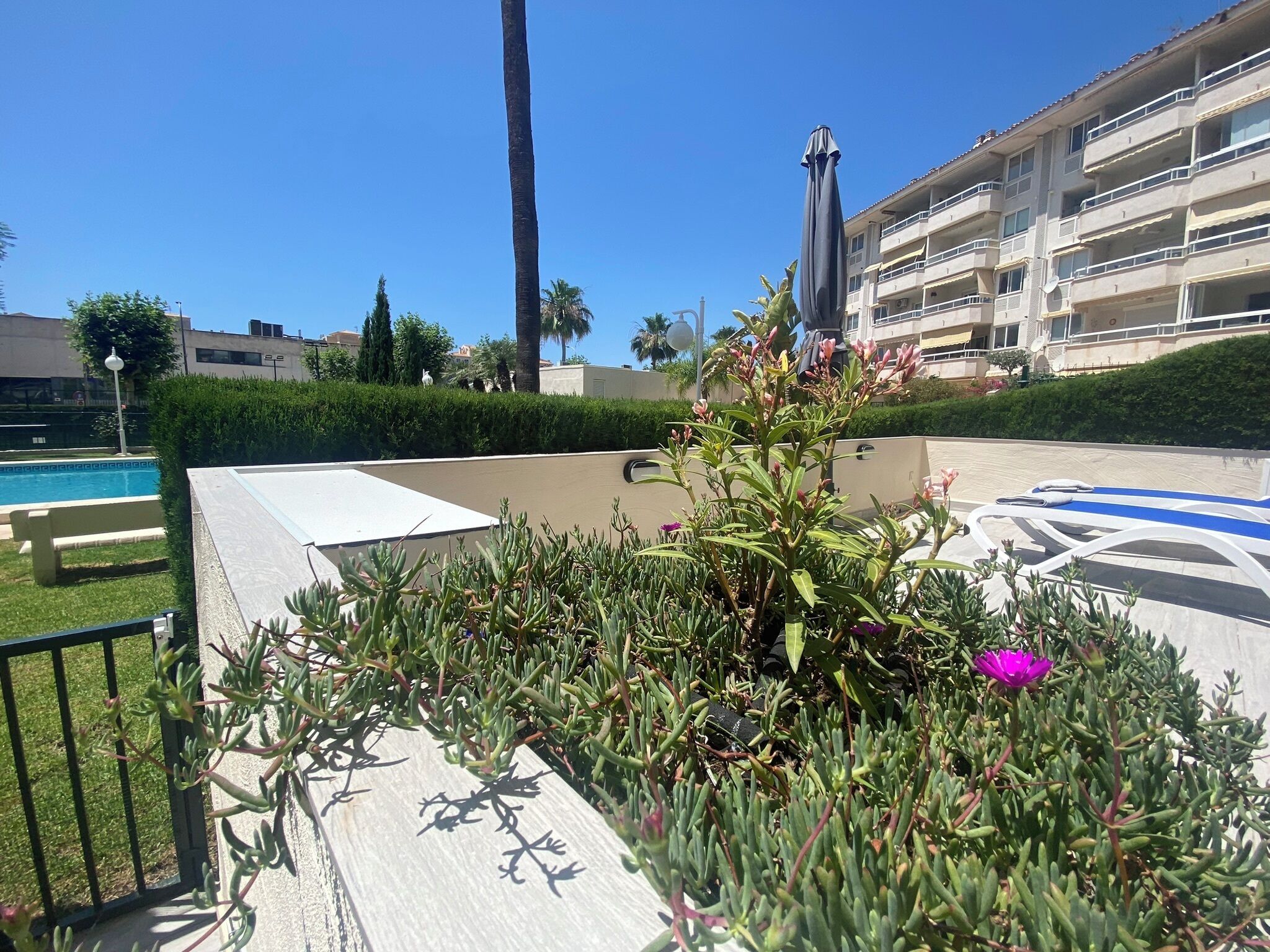 Terrein van de accommodatie