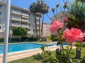A swimming pool, a building with balconies, and a tree. - Apartment 'Apartamento Cal Albir' with Shared Pool, Wi-Fi and Air Conditioning (l'Alfàs del Pi)