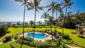 A circular pool surrounded by palm trees, a lawn, and a building with a balcony.