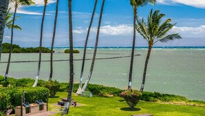 Un patio frente a la playa con palmeras, una parrilla y vista al océano.
