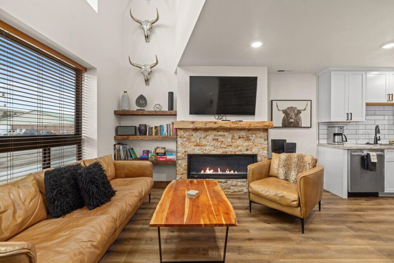 TV, fireplace, video games