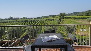 Eine Terrasse mit Tisch und Stühlen mit Blick auf einen Weinberg.