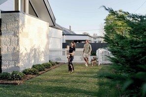 Property grounds - Maple on Edward, Berry - by Linnaeus Collection (Berry)