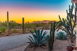 Útsýni frá gististað