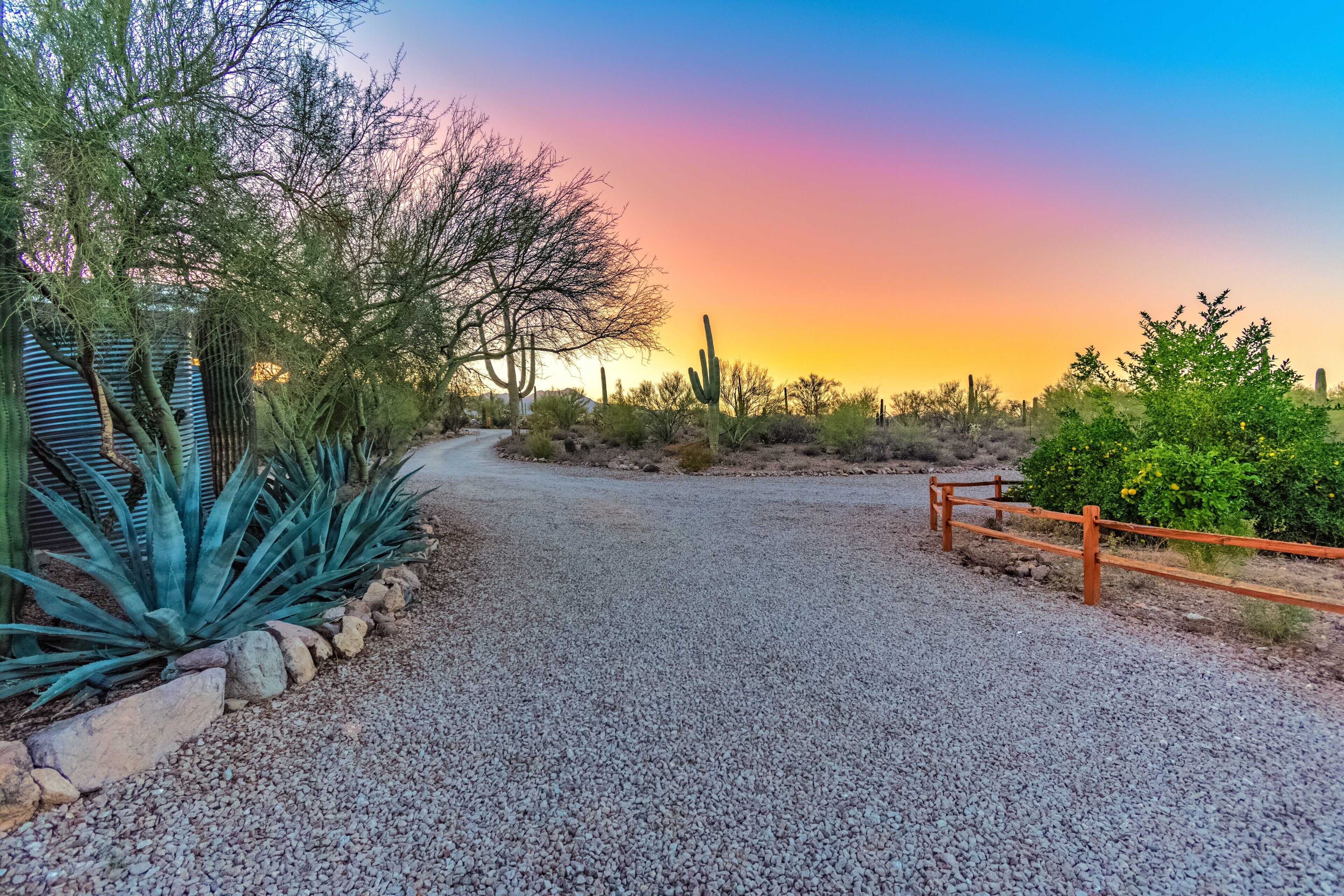 A gravel path leading through a desert landscape with cacti and sparse vegetation.