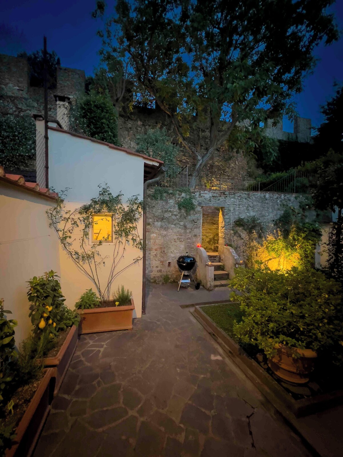 Imagen de perfil del propietario o de la propietaria