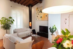 Smart TV, fireplace, DVD player, books