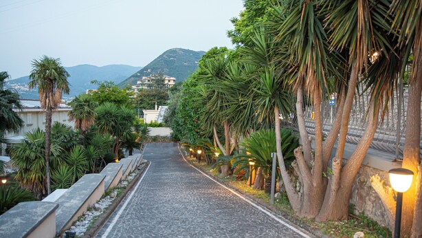 A cobblestone street lined with palm trees and street lamps, leading to a mountainous backdrop. - Forever luxury rooms (Castellammare di Stabia)