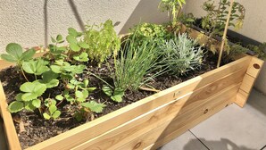 A wooden raised garden bed with various plants. - Appartement en Étage Élévé Avec Terrasses (Marseille)