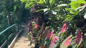 Exterior - Maesa Greenery Hill (Mae Rim)