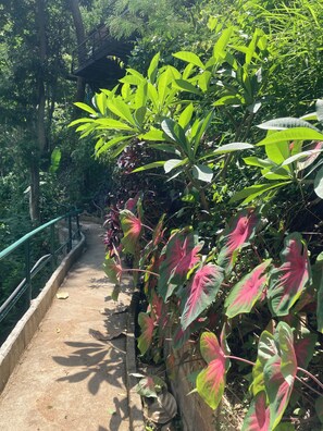 Exterior - Maesa Greenery Hill (Mae Rim)