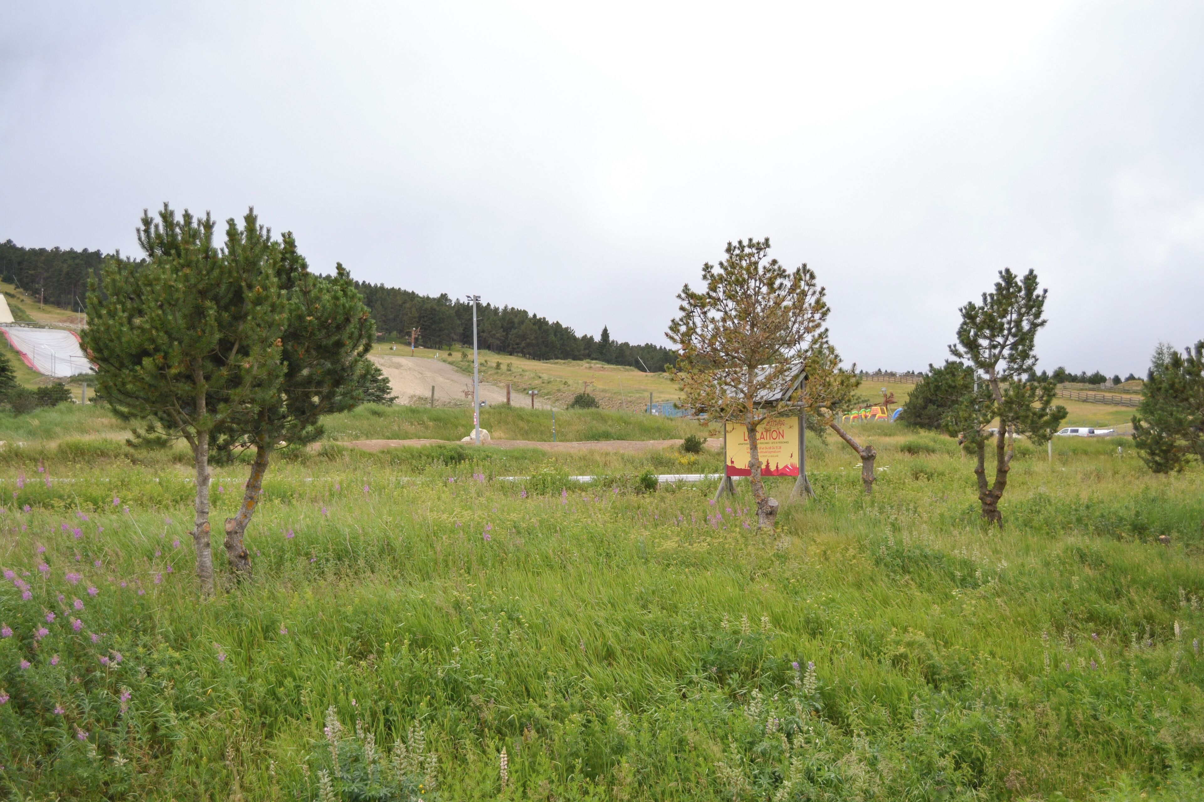 Un campo cubierto de hierba con árboles y una construcción pequeña.