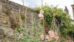 A stone wall with flowering plants and a black wall-mounted light fixture. - Hunters Cottage (Bakewell)