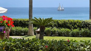 Ein Garten mit einer Palme, einer Bank und einem Segelboot auf dem Wasser.