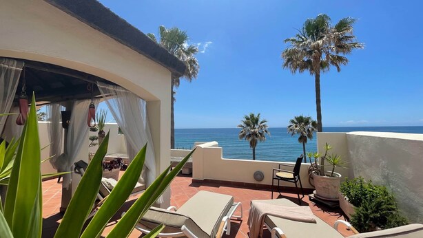 Eine Terrasse mit Liegestühlen, einem Tisch und Kübelpflanzen mit Blick auf einen Strand mit Palmen und dem Meer.