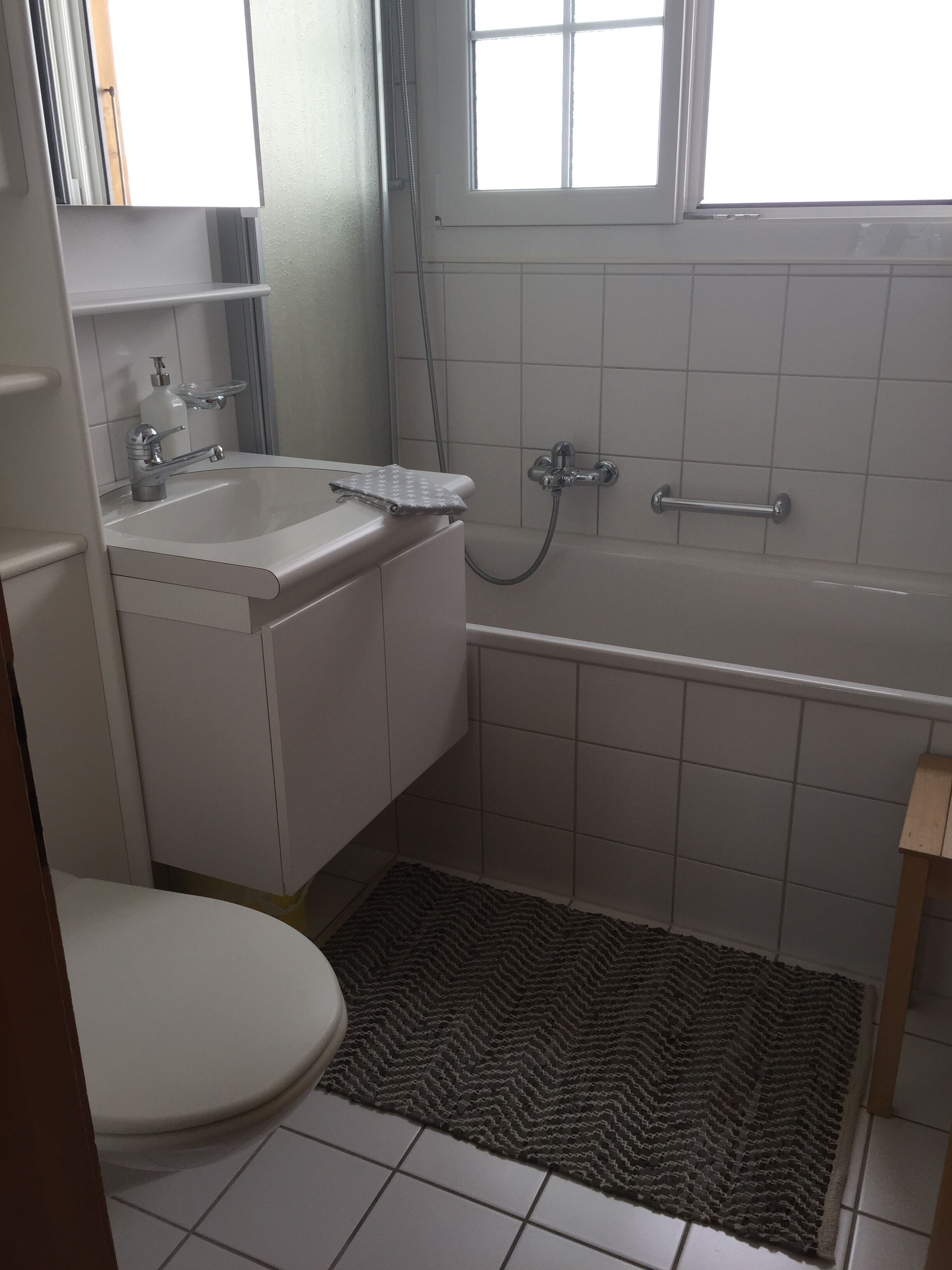 Hair dryer, towels, soap, toilet paper