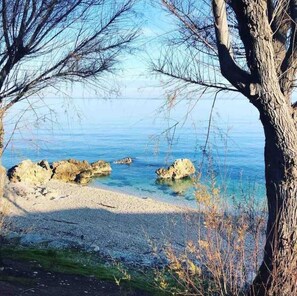 Una playa rocosa con aguas cristalinas y un árbol en primer plano.