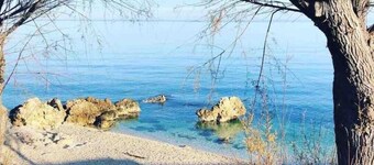 Detached Villa - Bisceglie