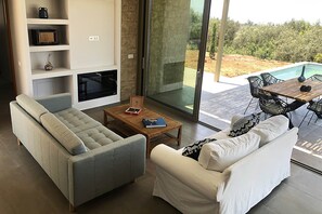 TV, fireplace, books