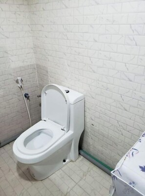 Shower, hair dryer, bidet, towels